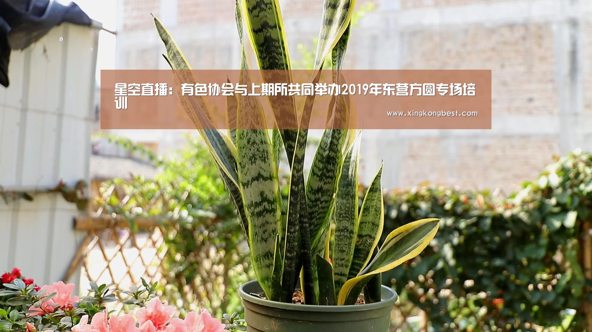 星空直播:有色协会与上期所共同举办2019年东营方圆专场培训(图1) 星空直播