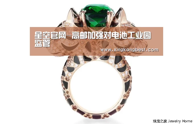 星空官网-高邮加强对电池工业园监管(图2) 星空直播