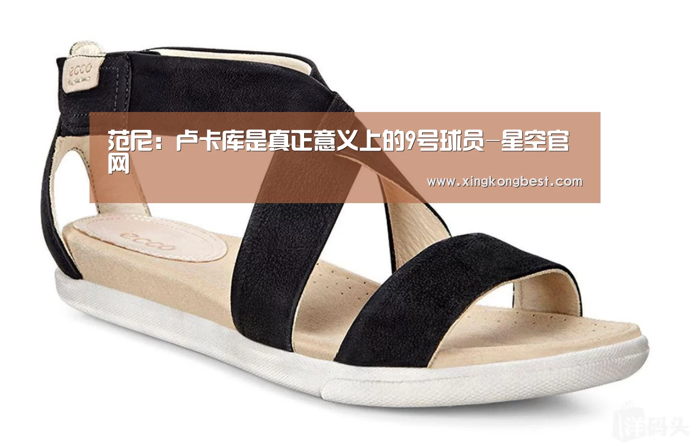 范尼:卢卡库是真正意义上的9号球员-星空官网(图2) 星空导航